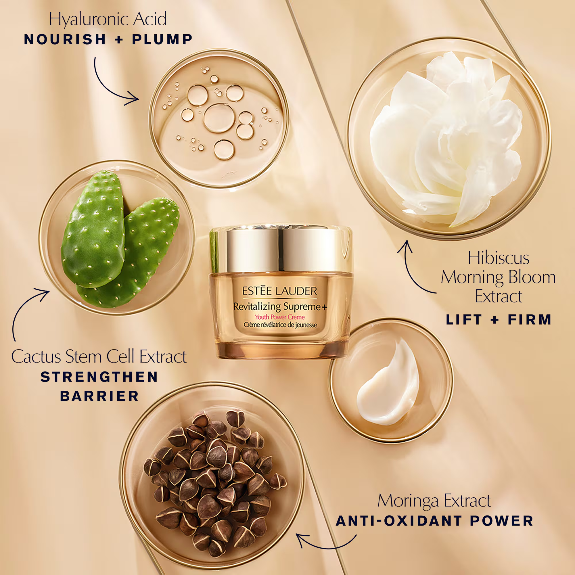 Estée Lauder Revitalizing Supreme+ Cream – view 4
